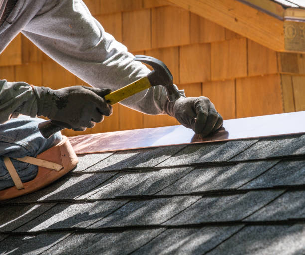 Roof Gutter Cleaning in Phoenixville, PA